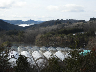 ホームページ完成しました