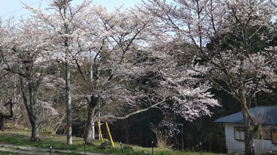 ホームページ完成しました