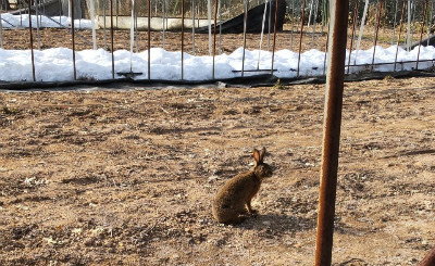 ホームページ完成しました