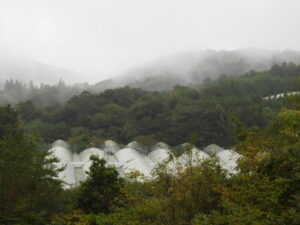 再び雨が降ります。