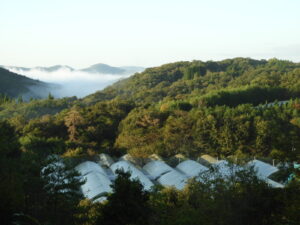 晴れたり雨が降ったり不安定です。