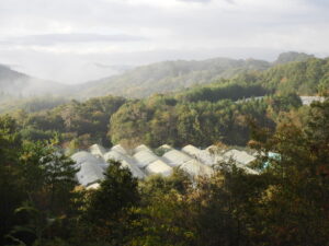 冷たい雨が降ります。